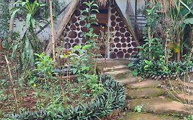 Backpacker Hostel And Jungle Trekking